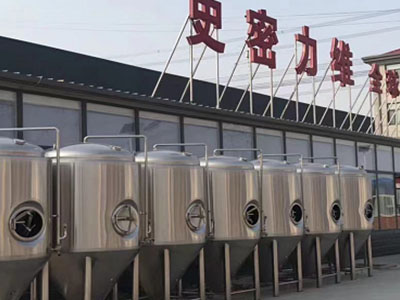铜陵精酿啤酒设备厂—市场规模与跨界新需求